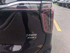 Hongqi HQ9 PHEV 2.0T four-wheel drive luxury version - фото 14