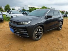 Chery Xingtu Chasing the Wind and Waves Edition 1.5T CVT Chengfengqi Edition - фото 1