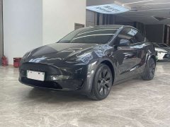 Tesla Model Y long-range all-wheel drive version - фото 1