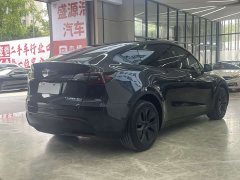 Tesla Model Y long-range all-wheel drive version - фото 6