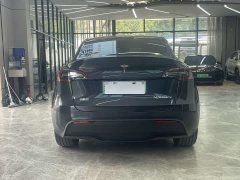 Tesla Model Y long-range all-wheel drive version - фото 7
