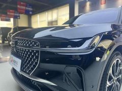 Lincoln Voyager 2023 2.0T four-wheel drive Zunrui version - фото 11