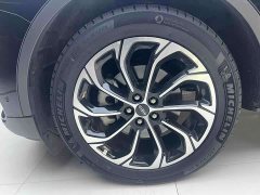 Lincoln Voyager 2023 2.0T four-wheel drive Zunrui version - фото 12