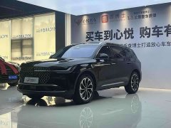 Lincoln Voyager 2023 2.0T four-wheel drive Zunrui version - фото 3