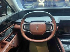 Lincoln Voyager 2023 2.0T four-wheel drive Zunrui version - фото 9
