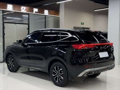 Haval H6 2021 Guochao Edition 1.5T Automatic Urban Edition - фото 19