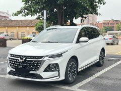 Wuling 2.0L DHT Version - фото 1
