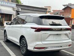Wuling 2.0L DHT Version - фото 14