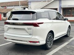 Wuling 2.0L DHT Version - фото 16