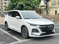 Wuling 2.0L DHT Version - фото 3