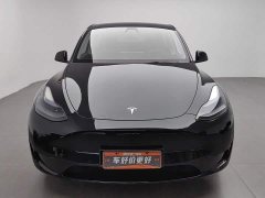 Tesla Model Y rear-wheel drive version - фото 3