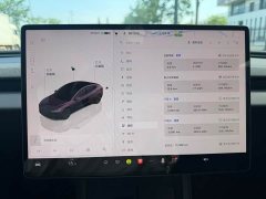 Tesla Model 3 rear-wheel drive version - фото 12