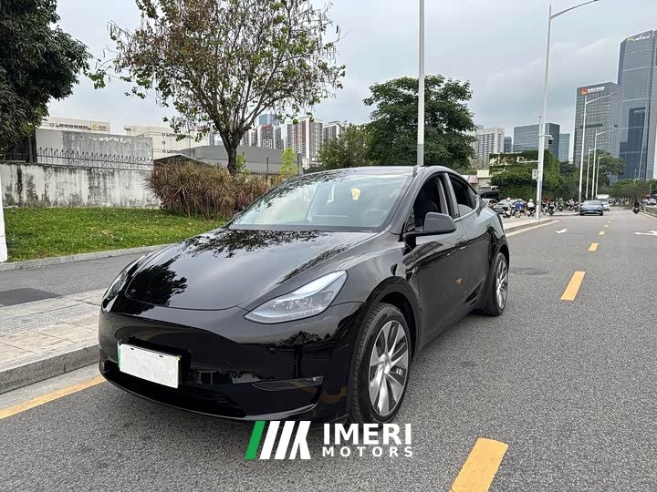 Tesla Model Y long-range all-wheel drive version 3D7 - автомобиль из Китая
