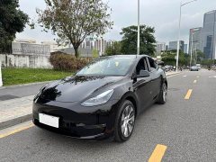 Tesla Model Y long-range all-wheel drive version 3D7 - фото 1