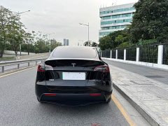 Tesla Model Y long-range all-wheel drive version 3D7 - фото 12