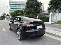 Tesla Model Y long-range all-wheel drive version 3D7 - фото 13