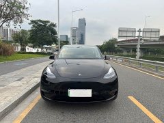 Tesla Model Y long-range all-wheel drive version 3D7 - фото 2