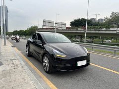 Tesla Model Y long-range all-wheel drive version 3D7 - фото 3