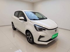 Changan Benben E-Star 2020 Heartbeat Edition ternary lithium - фото 3