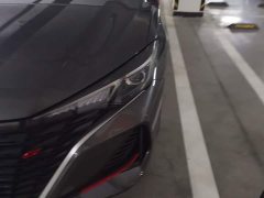 Changan EADO PLUS Blue Whale NE 1.4T GDI DCT Premium Edition - фото 5