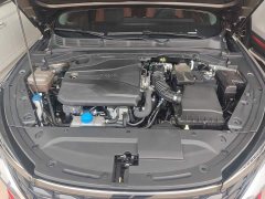 Changan EADO Enjoy Edition PLUS Blue Whale NE 1.4T GDI DCT Premium Edition - фото 10