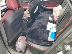 Changan Eado PLUS Blue Whale NE 1.4T GDI DCT flagship - фото 11
