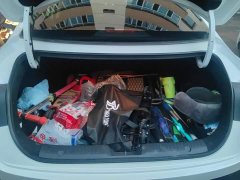 Changan Eado Blue Whale 1.5T 500Bar Premium Type - фото 4