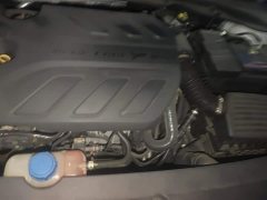 Ruicheng PLUS 1.5T DCT premium - фото 9