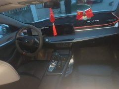 Ruicheng PLUS 1.5T DCT premium - фото 11