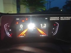 Ruicheng PLUS 1.5T DCT premium - фото 13