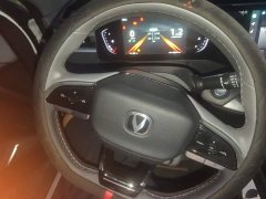 Ruicheng PLUS 1.5T DCT premium - фото 14