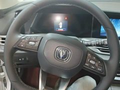 Changan CS55PLUS Blue Whale Edition 1.5T DCT Premium Type - фото 15