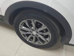 Changan CS55PLUS Blue Whale Edition 1.5T DCT Premium Type - фото 6