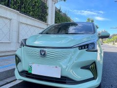 Changan Benben E-Star Qingxin Edition Colorful Edition Lithium Iron Phosphate - фото 1