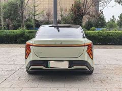 Hongqi EH7 820 Pro - фото 8