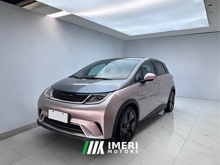 BYD Dolphin 2021 401km Knight Edition - автомобиль из Китая