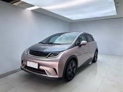 BYD Dolphin 2021 401km Knight Edition - фото 1