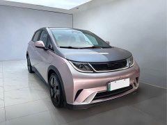 BYD Dolphin 2021 401km Knight Edition - фото 3