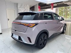 BYD Dolphin 2021 401km Knight Edition - фото 7