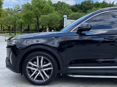Geely Pentium T99 2022 20TD automatic sports exclusive - фото 7