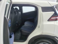 BYD Seagull Smart Driving Edition 305km Vitality Edition - фото 15