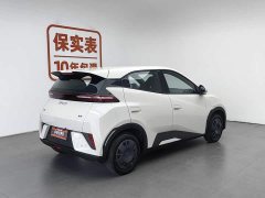 BYD Seagull Smart Driving Edition 305km Vitality Edition - фото 2