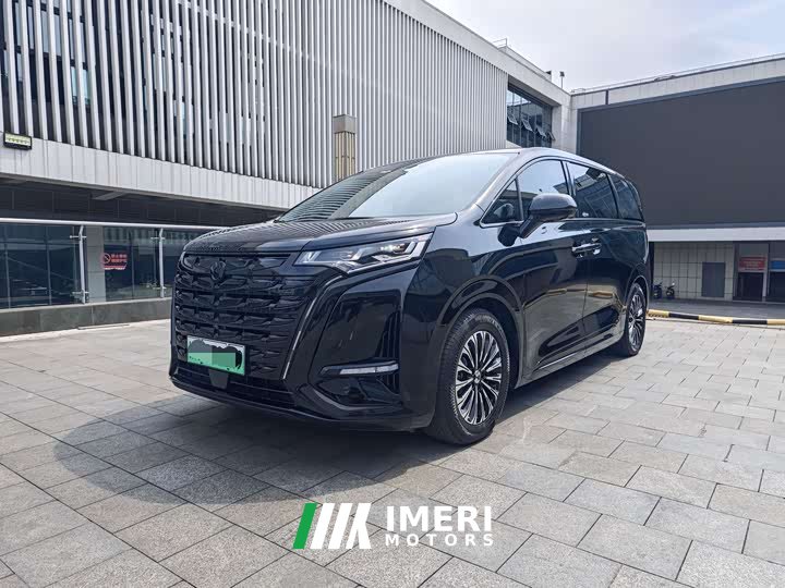 Denza D9 PIONEER four-seater premium version