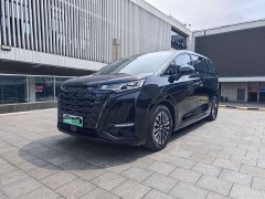 Denza D9 PIONEER four-seater premium version - фото 1