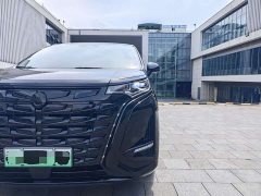 Denza D9 PIONEER four-seater premium version - фото 2