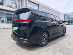 Denza D9 PIONEER four-seater premium version - фото 4