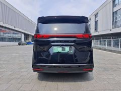 Denza D9 PIONEER four-seater premium version - фото 6