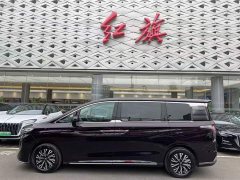 Hongqi HQ9 PHEV 2.0T four-wheel drive luxury version - фото 2