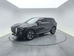 Hongqi HS3 2024 1.5T Shanwei Edition - фото 1