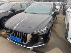Hongqi H5 2023 2.0T Automatic Intelligent Connected Flag Edition - фото 1